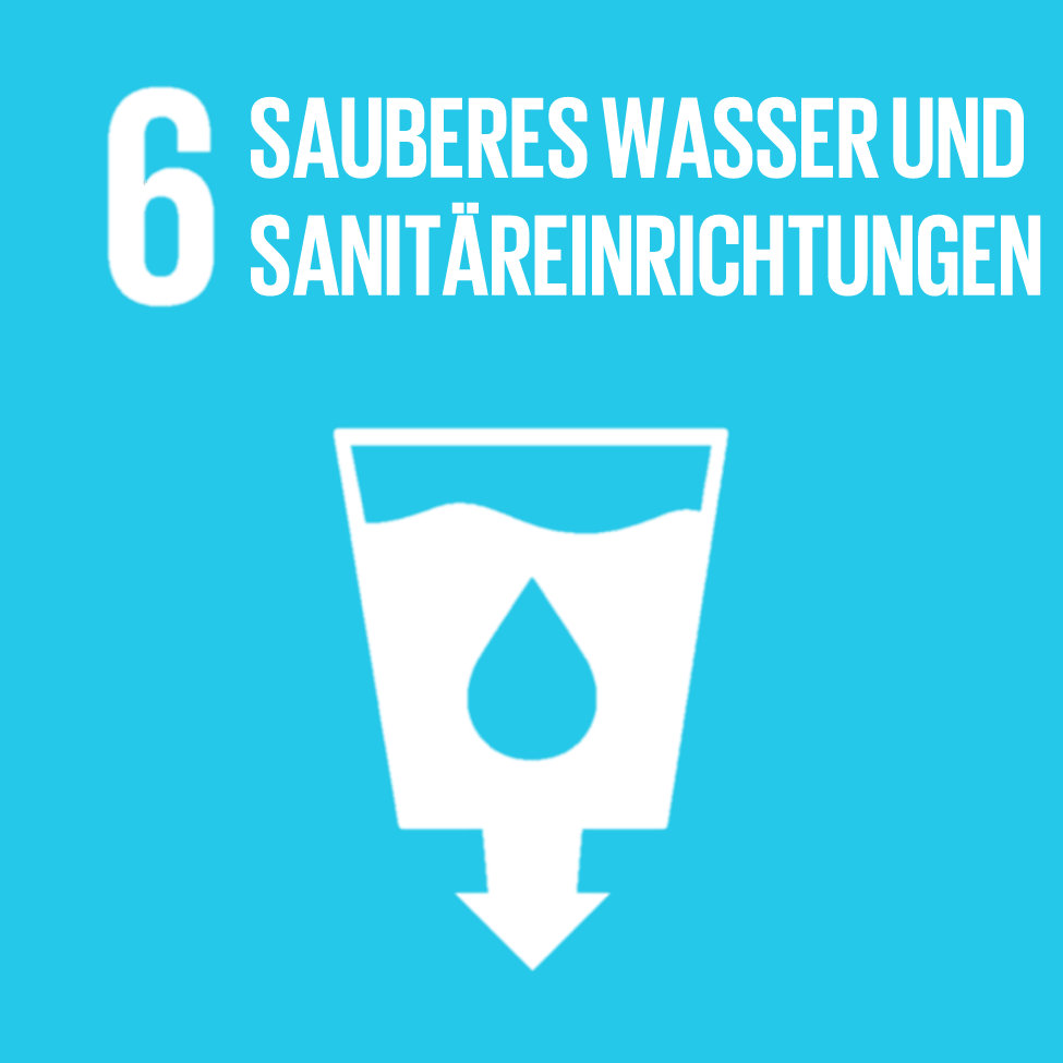 Logo SDG6 Sauberes Wasser und Sanitäreinrichtungen