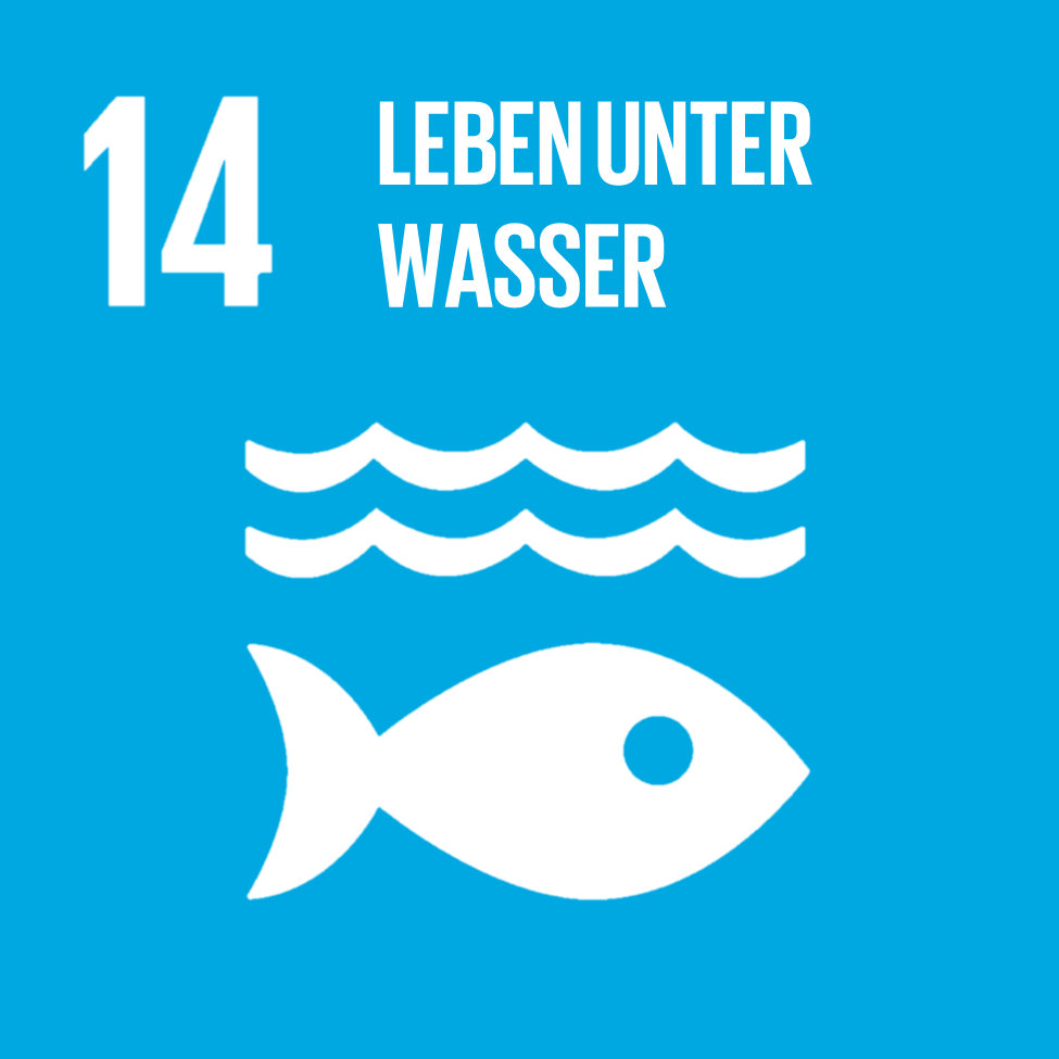 Logo SDG14 Leben unter Wasser