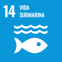 Logo SDG14 Vida Submarina
